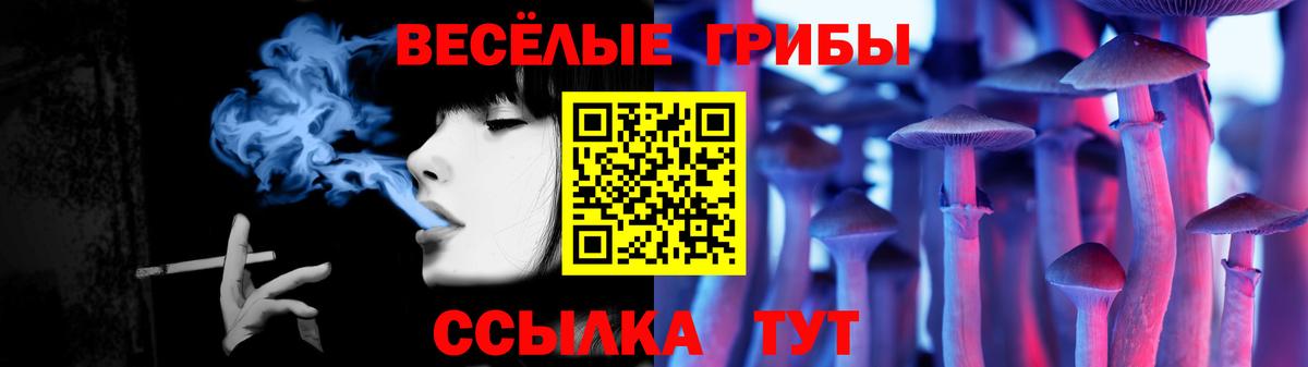 Крымск  купить наркотики сайты  Вход с VPN  Псилоцибиновые грибы GOLDEN TEACHER 