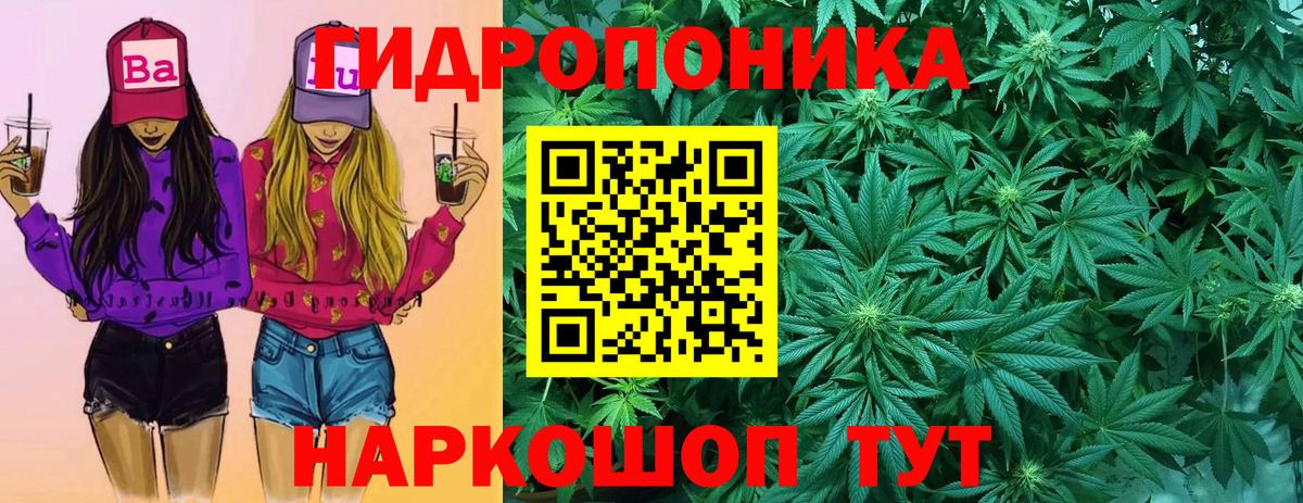 Крымск  Конопля сатива  Бошки Шишки Bruce Banner  Вход с VPN  МАРИХУАНА Bruce Banner 
